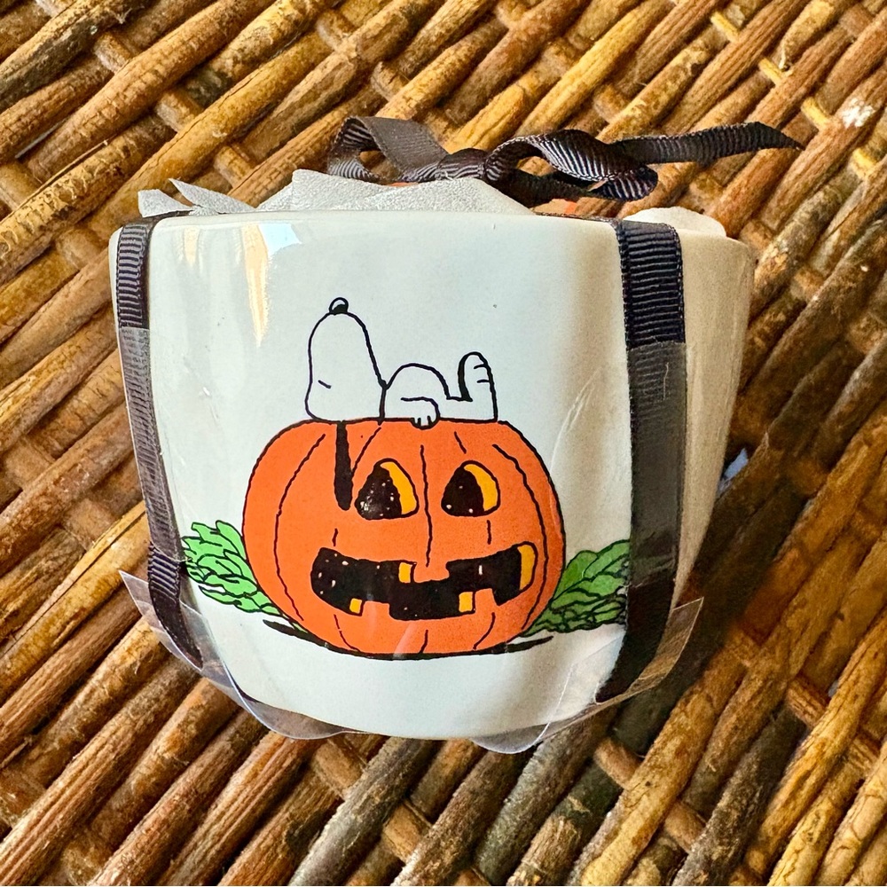 🔥🆕 PEANUTS x RAE DUNN Snoopy Jack O’Lantern Pumpkin Halloween Measuring Cups Set